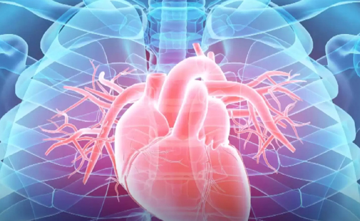 Các loại bệnh tim thường gặp, nguyên nhân và cách phòng ngừa